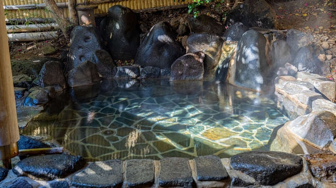 楽天限定プラン【温泉目的ならこちら】お食事無しで、天然温泉を堪能【素泊り】